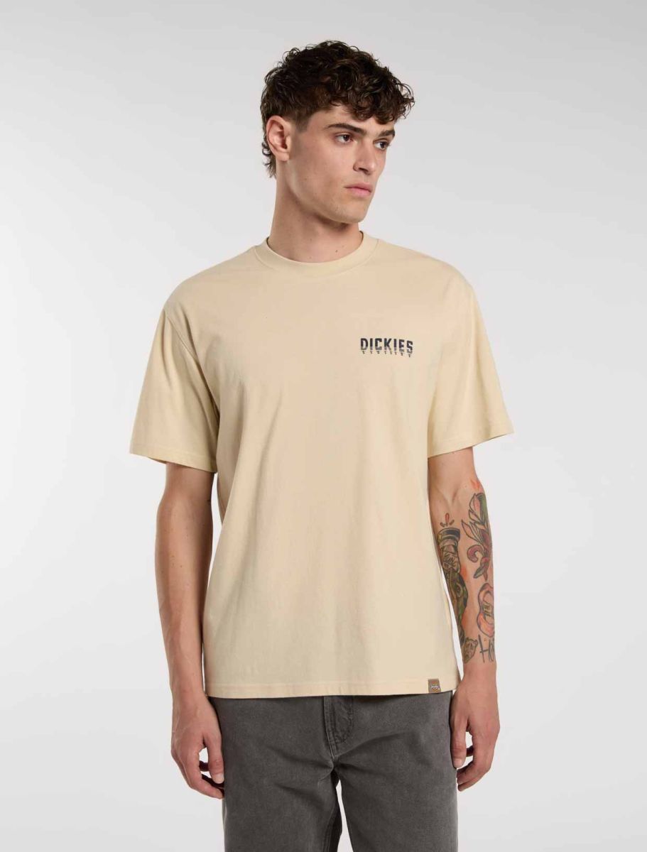 CTA DICKIES PELHAM WOOD ASH