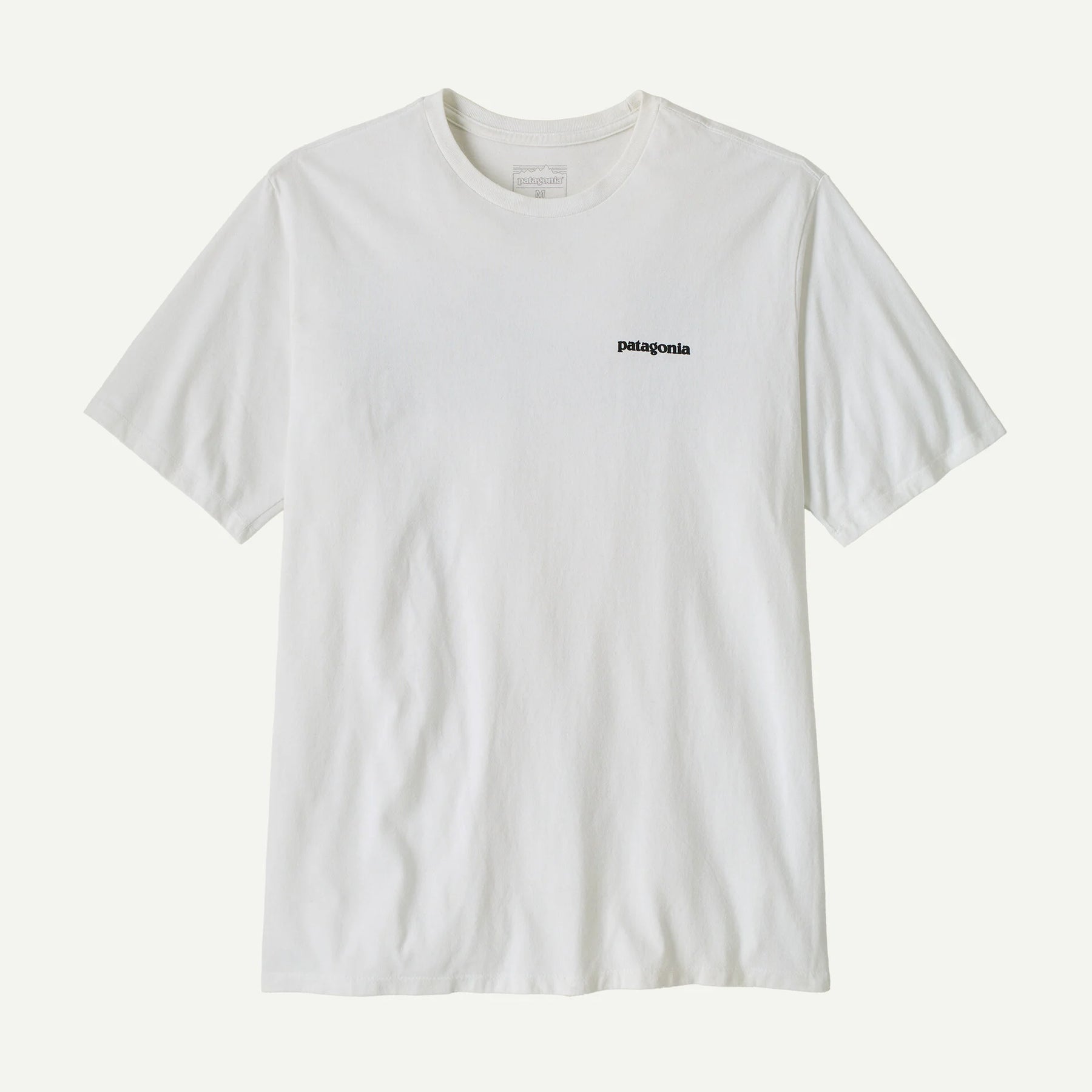 CTA PATAGONIA P-6 LOGO FBWI