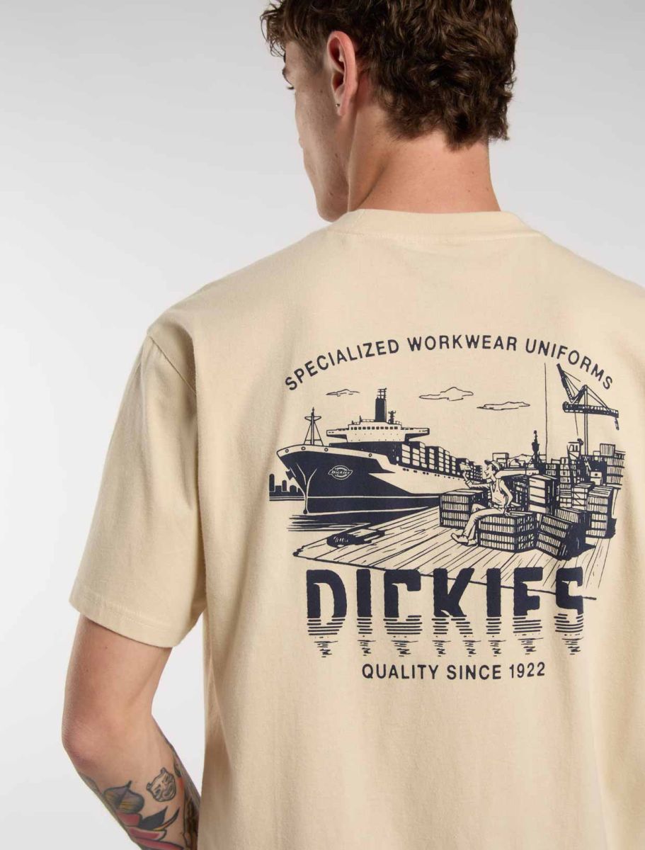 CTA DICKIES PELHAM WOOD ASH