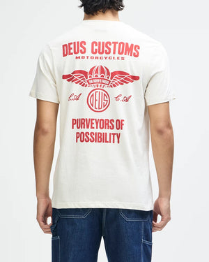 CTA DEUS CUTAWAY VINTAGE WHITE