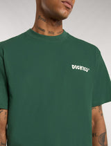 CTA DICKIES GORDONSVILLE PINE