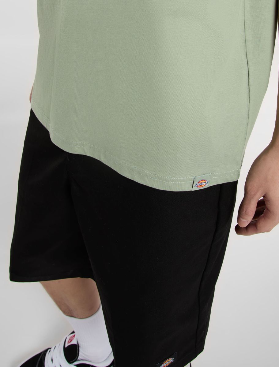 CTA DICKIES SNAKE ICEBERG