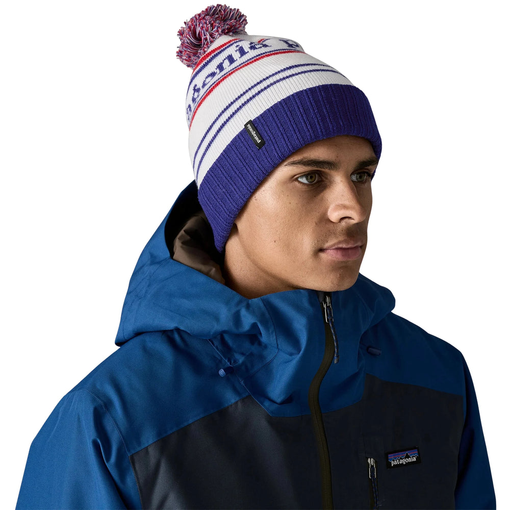 PATAGONIA POWDER TOWN PARK STRIPE VIKING BLUE