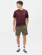 CTA DICKIES MAPLETON MAROON