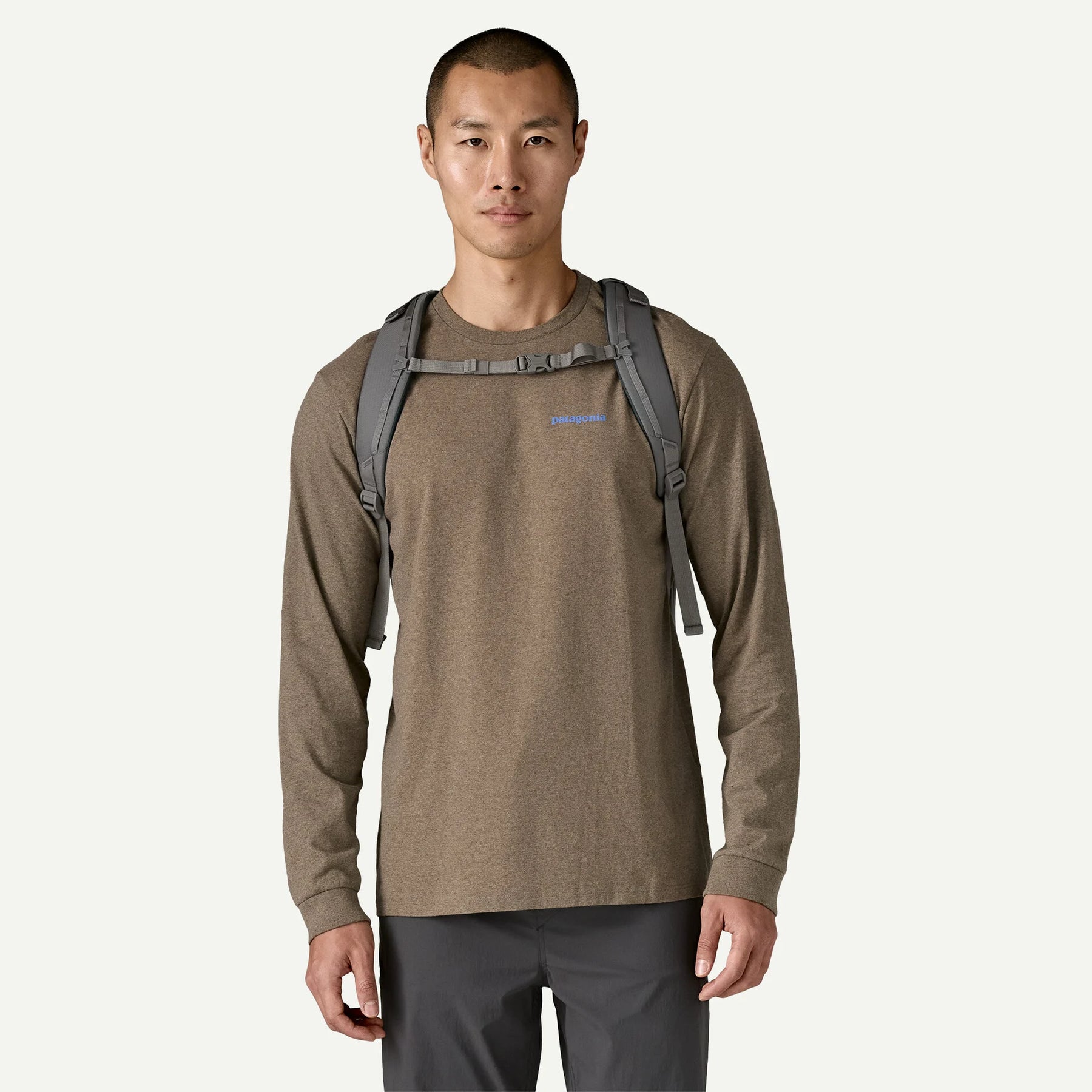 MOCHILA PATAGONIA REFUGIO 30L INGRY