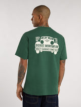 CTA DICKIES GORDONSVILLE PINE