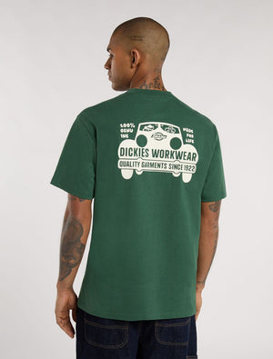 CTA DICKIES GORDONSVILLE PINE