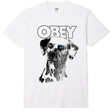 CTA OBEY DALMATION WHITE