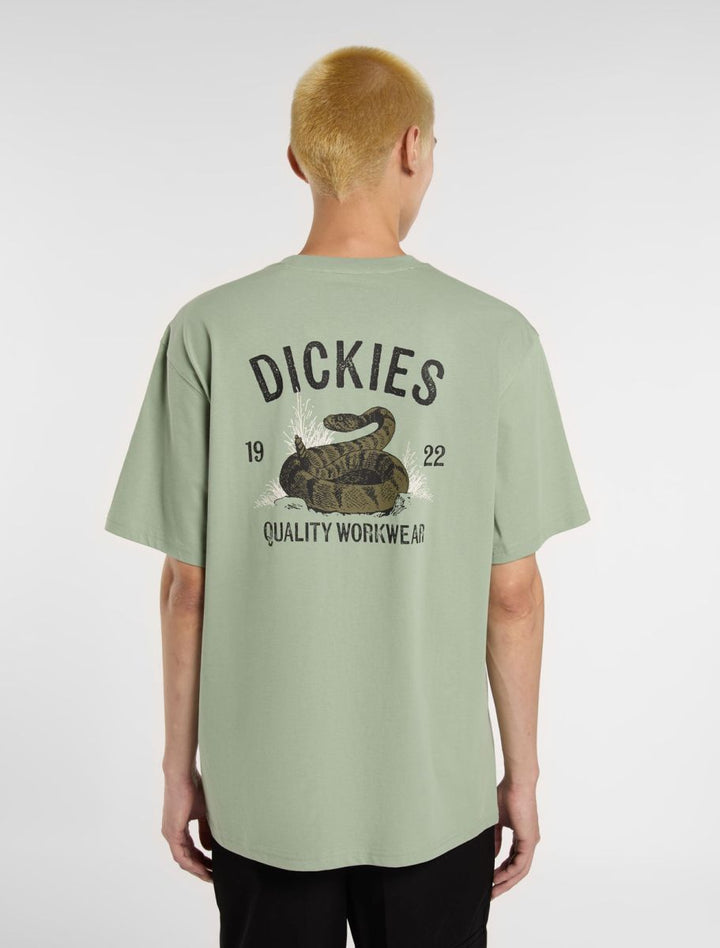 CTA DICKIES SNAKE ICEBERG