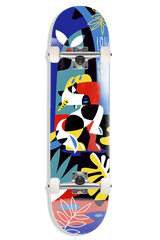 SKATE COMPLETO PUSH BARLETTA GUEST 8.0