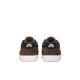 ZAPA NIKE SB MALOR 005