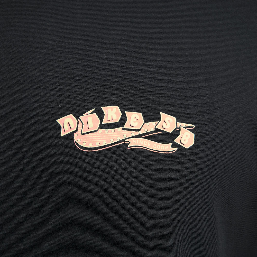 CTA NIKE SB ROAD DOGS 010
