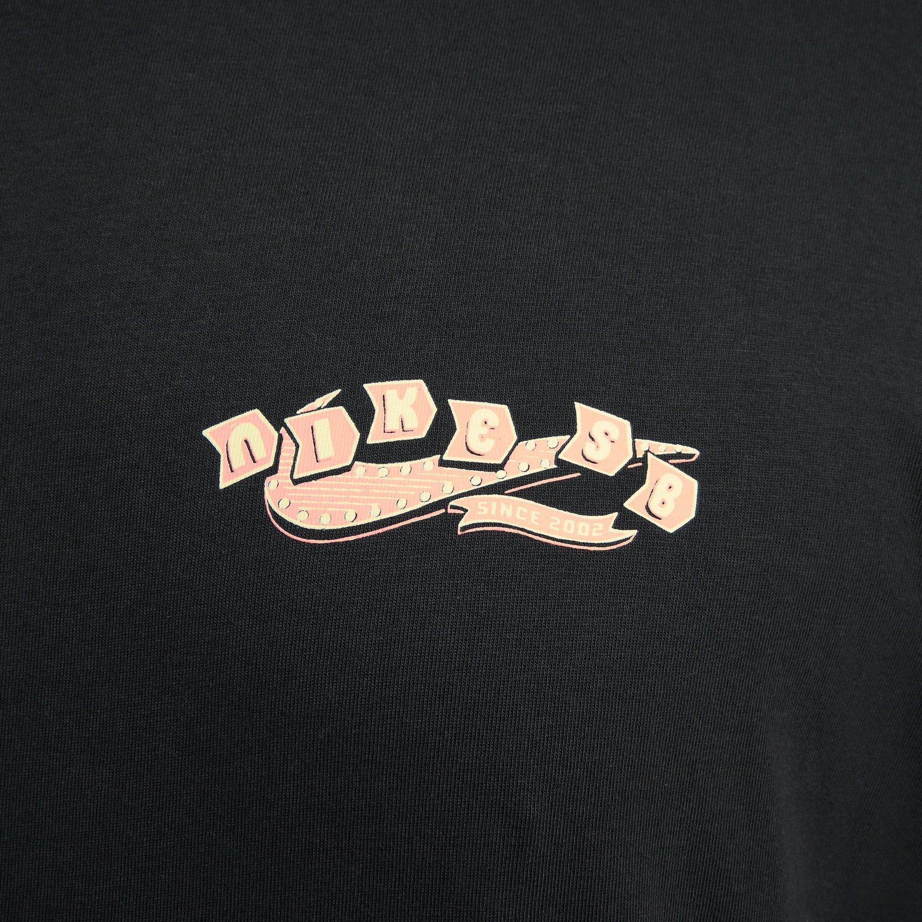 CTA NIKE SB ROAD DOGS 010