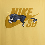 CTA NIKE SB PANTHER 700