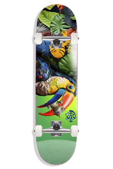 COMPLETO PUSH TOUCAN 8.0