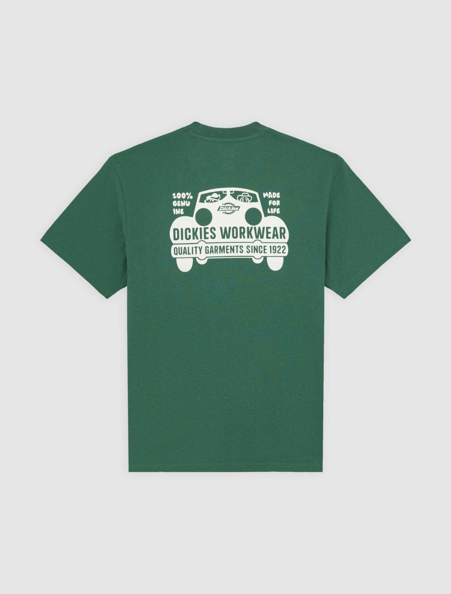 CTA DICKIES GORDONSVILLE PINE