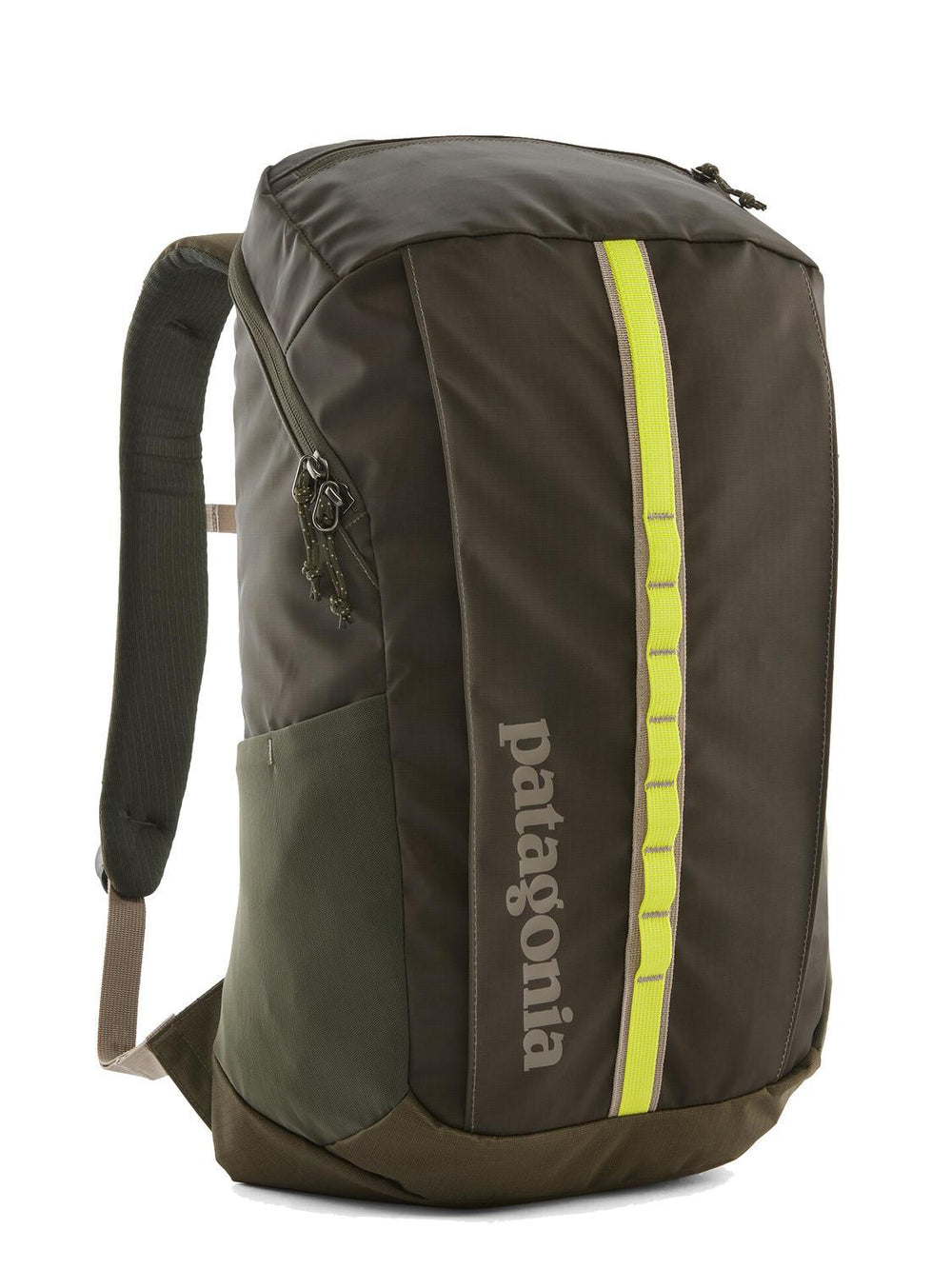 PATAGONIA BLACK HOLE 25L BACKPACK PNGR