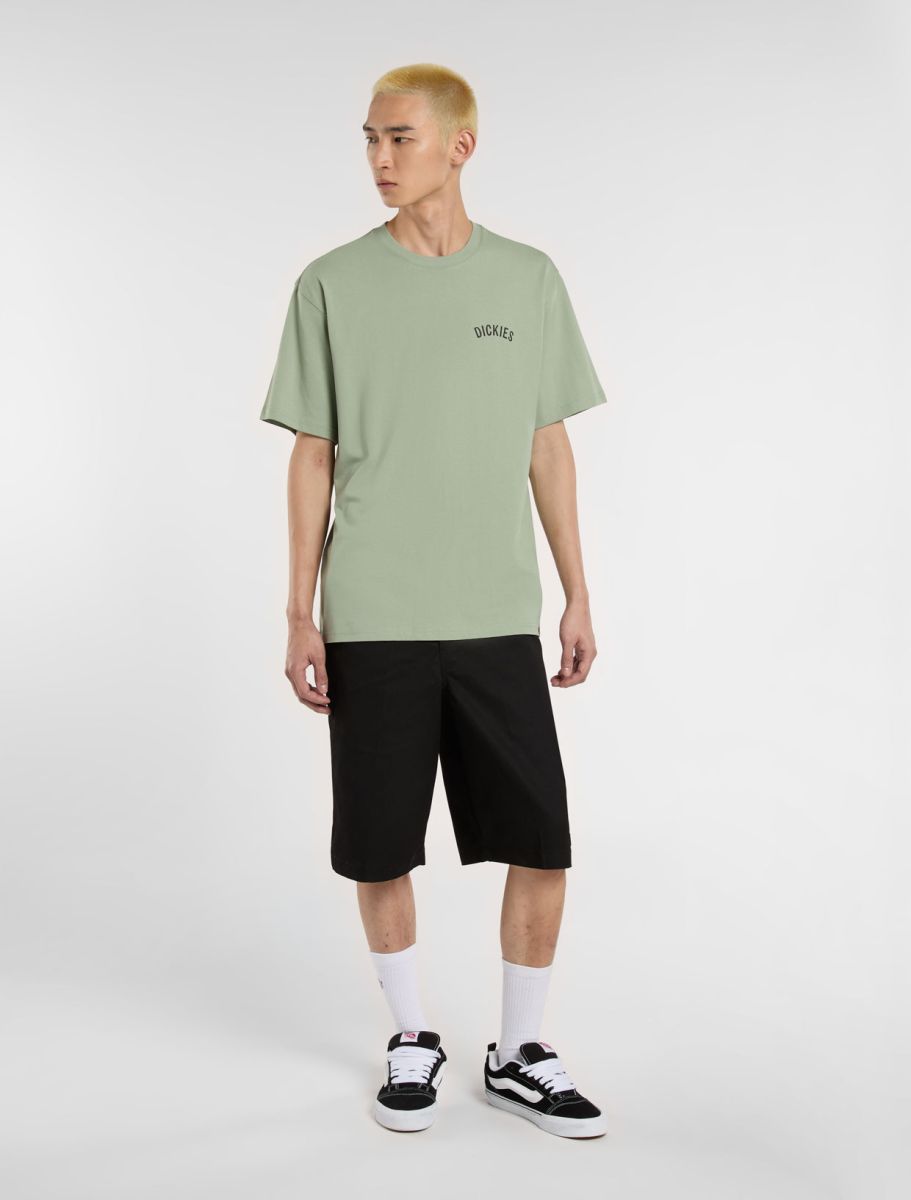 CTA DICKIES SNAKE ICEBERG