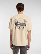 CTA DICKIES PELHAM WOOD ASH