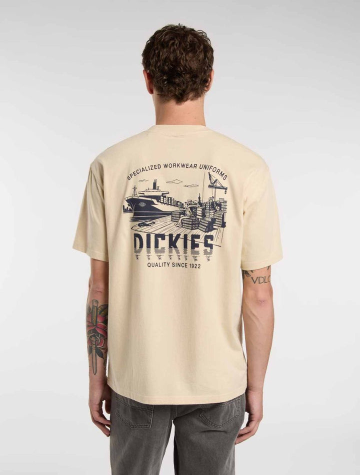 CTA DICKIES PELHAM WOOD ASH