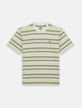 CTA DICKIES GLADE SPRING CLOUD