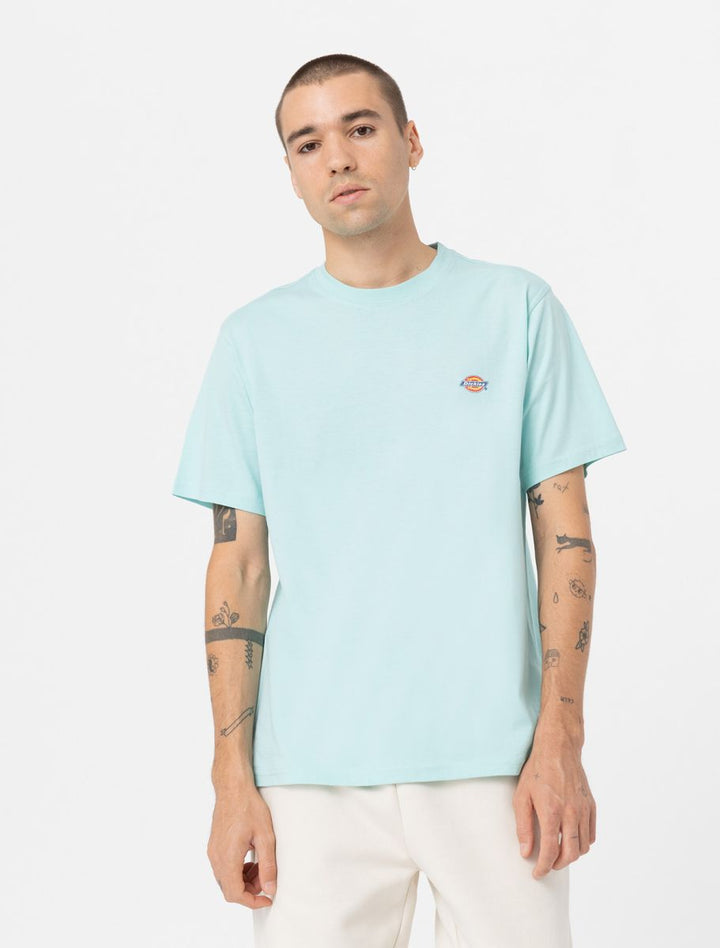 CTA DICKIES MAPLETON  PASTEL TURQUOISE