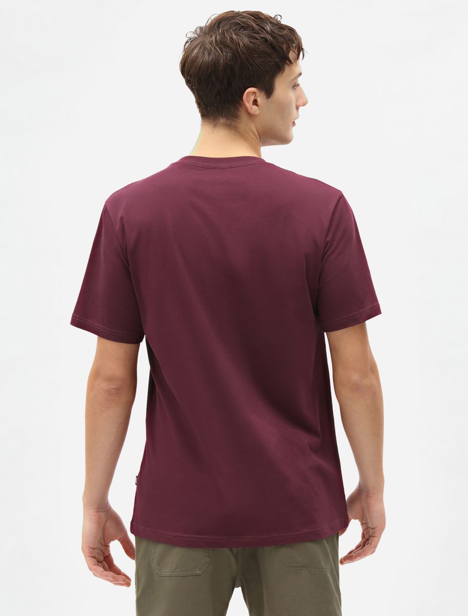 CTA DICKIES MAPLETON MAROON