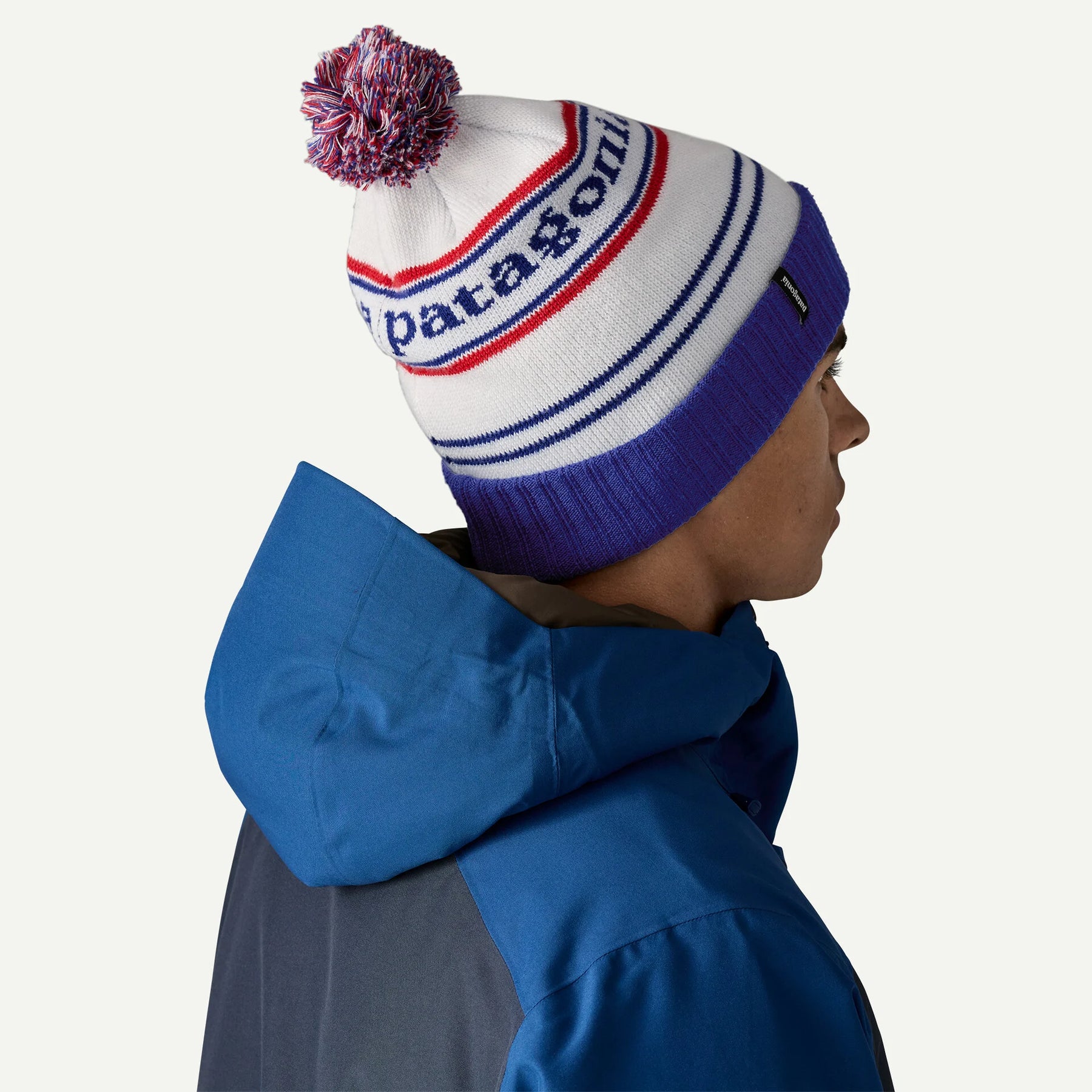 PATAGONIA POWDER TOWN PARK STRIPE VIKING BLUE