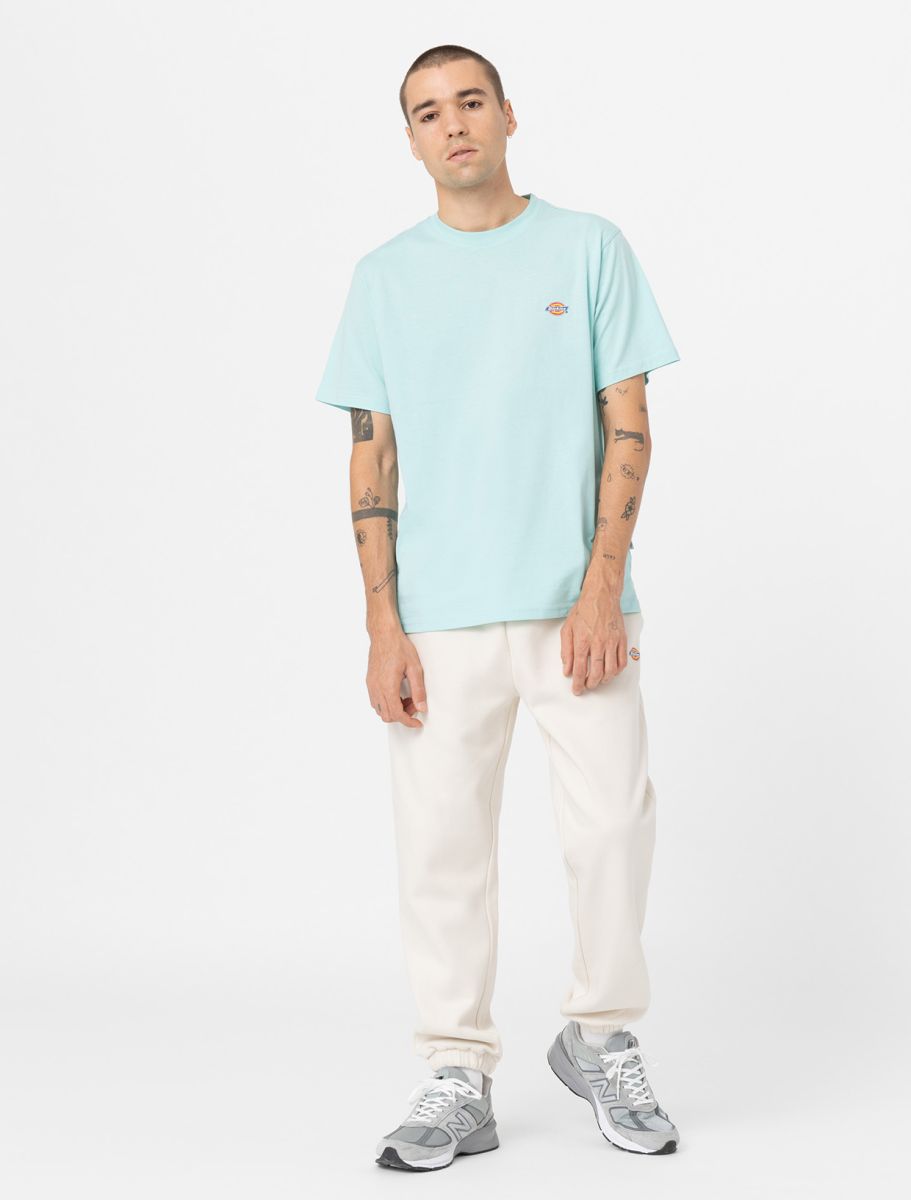 CTA DICKIES MAPLETON  PASTEL TURQUOISE