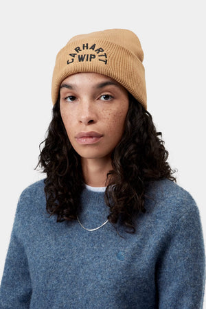 GORRO CARHARTT WIP ARCH SCRIPT DUSTY/BLK