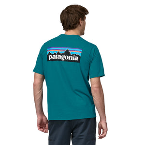 CTA PATAGONIA P-6 LOGO BLYB