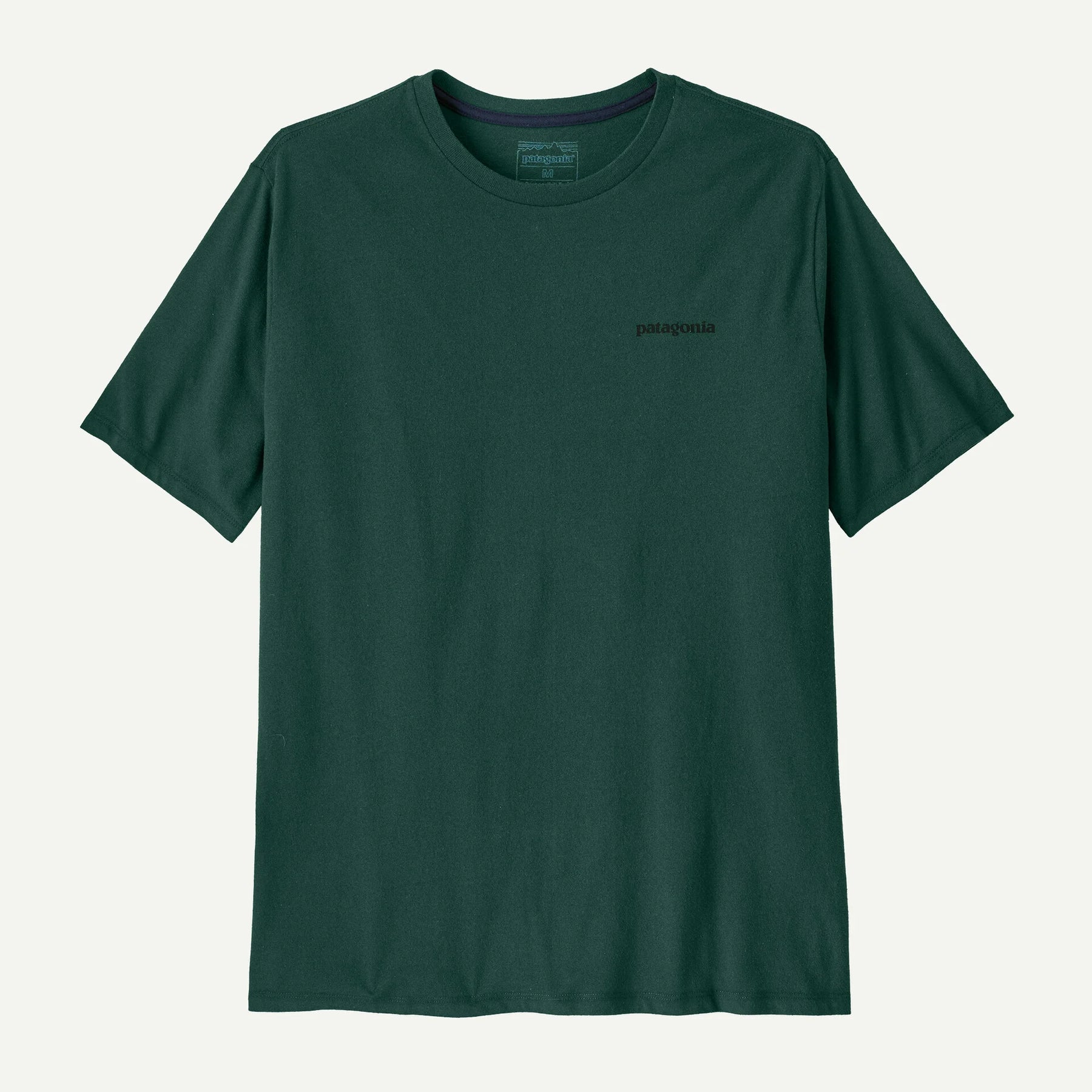 CTA PATAGONIA P-6 LOGO CASG