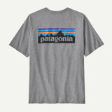 CTA PATAGONIA P-6 LOGO GLH
