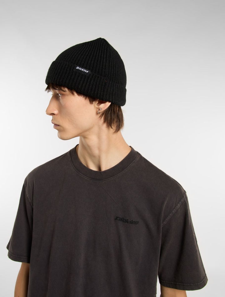DICKIES WOODWORTH BLACK