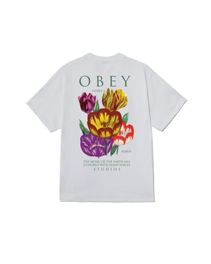 CTA OBEY FLORES ROBUS WHITE