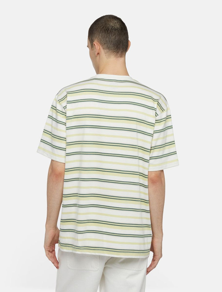 CTA DICKIES GLADE SPRING CLOUD