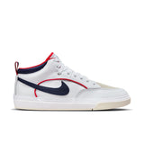 ZAPA NIKE SB LEO PRM 100