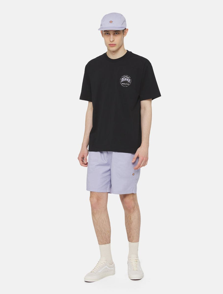 SHORT DICKIES PELICAN RAPIDS COSMIC GRAY