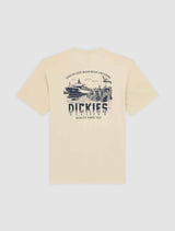 CTA DICKIES PELHAM WOOD ASH