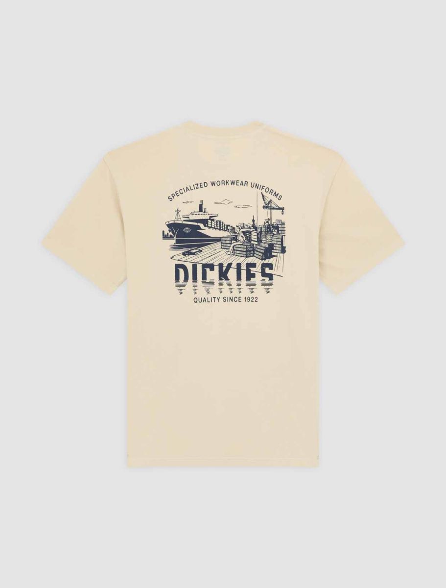 CTA DICKIES PELHAM WOOD ASH