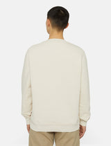CREW DICKIES OAKPORT WHITECAP GREY