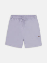 SHORT DICKIES PELICAN RAPIDS COSMIC GREY