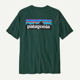 CTA PATAGONIA P-6 LOGO CASG