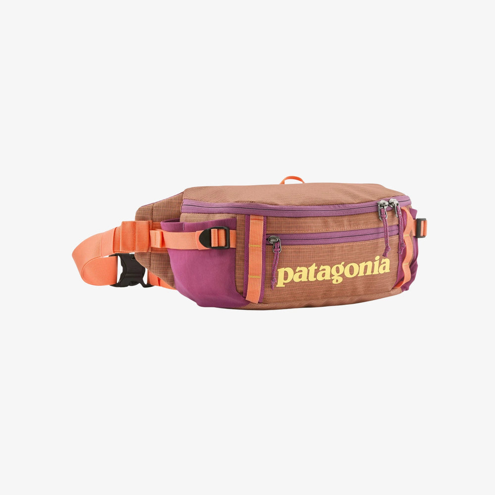PATAGONIA BLACK HOLE 5L PCHS