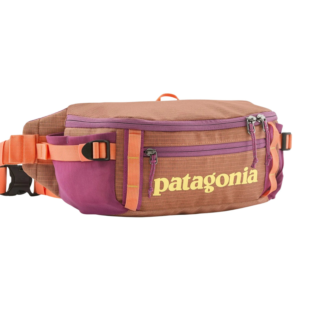 PATAGONIA BLACK HOLE 5L PCHS