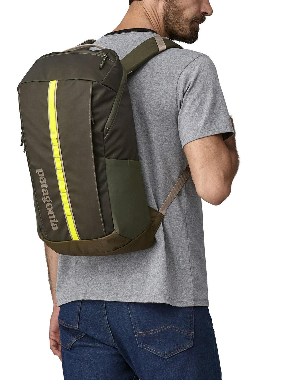 PATAGONIA BLACK HOLE 25L BACKPACK PNGR