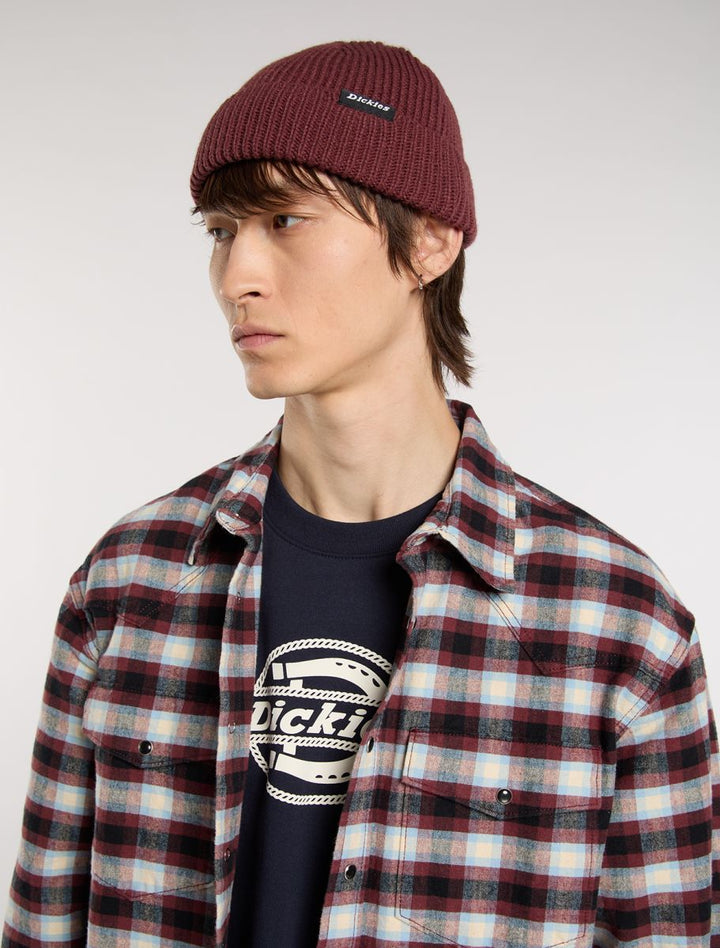 DICKIES WOODWORTH ANDORRA