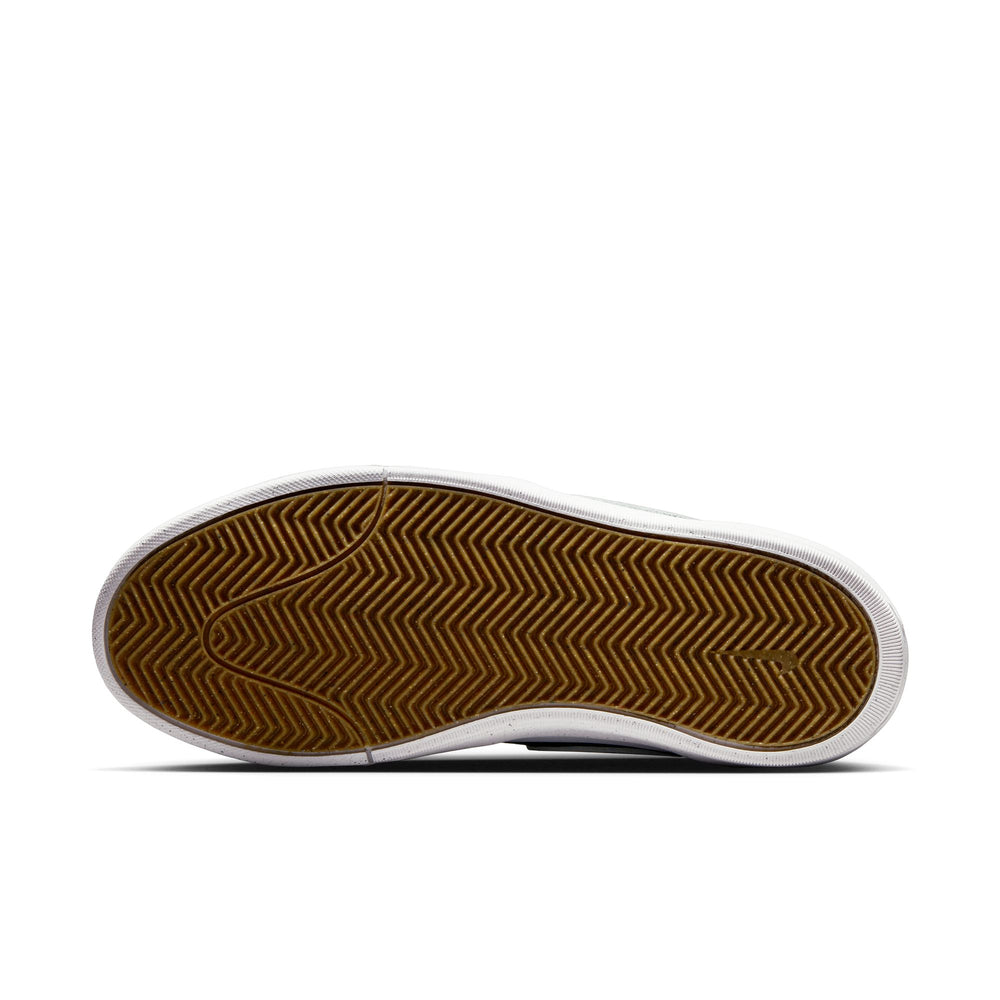 ZAPA NIKE SB LEO BAKER 001