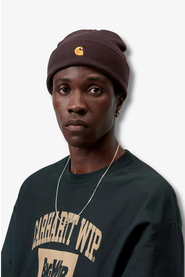 GORRO CARHARTT WIP CHASE PALISANDER