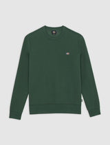 CREW DICKIES OAKPORT PINE NEEDLE GREEN